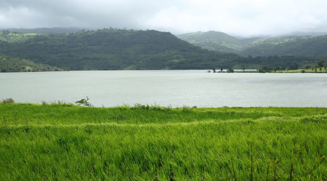 Plot for Sale in Panshet, Pune — WaterBliss