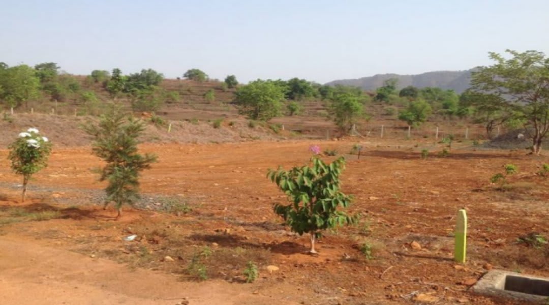 Plot for Sale in Panshet, Pune — Phuloraa