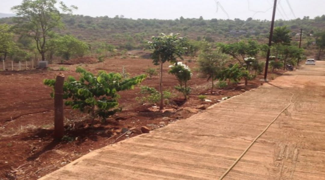 Plot for Sale in Panshet, Pune — Phuloraa