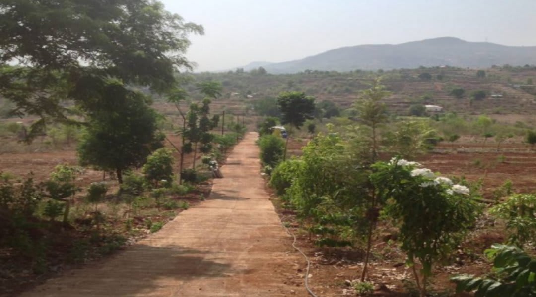 Plot for Sale in Panshet, Pune — Phuloraa