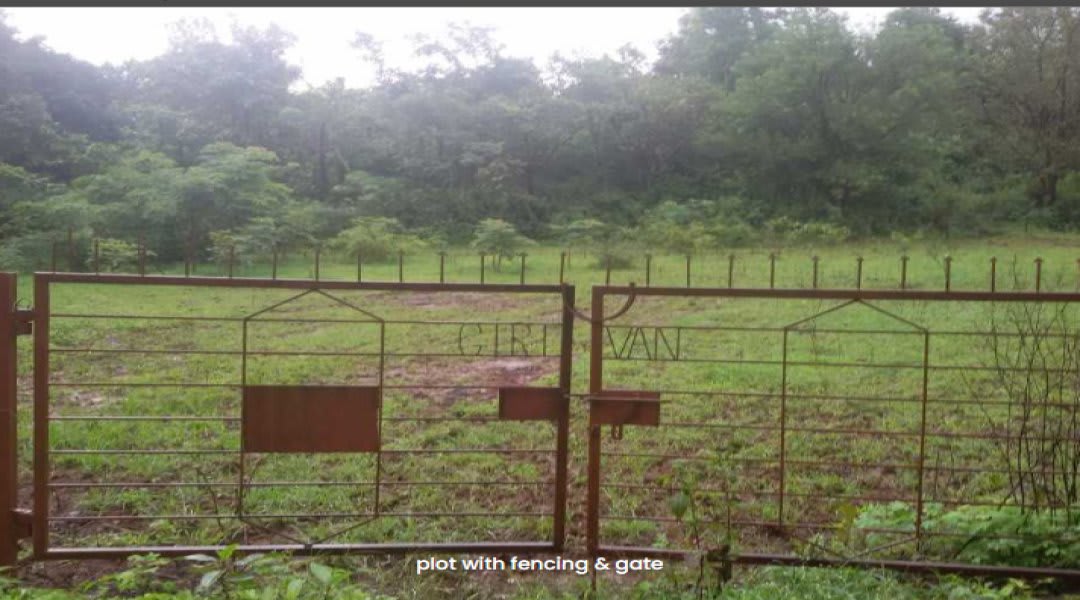 Plot for Sale in Dongaragaon, Pune — Girivan