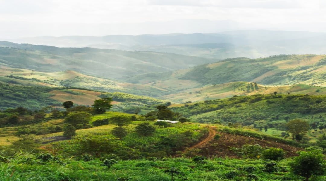 Plot for Sale in Mulshi, Pune — Terra Casa