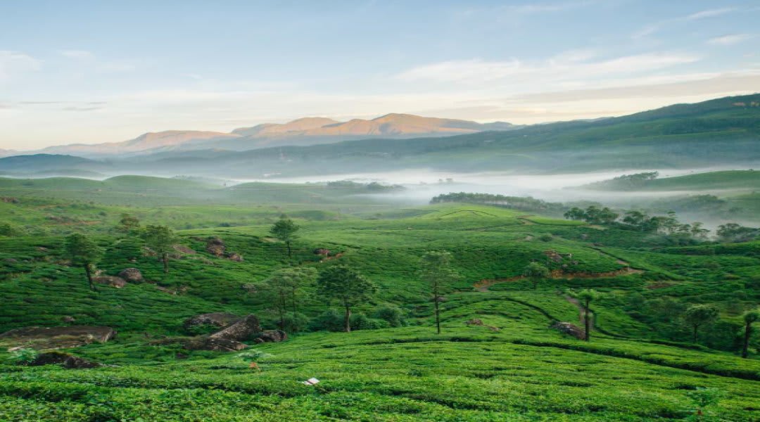 Plot for Sale in Mulshi, Pune — Terra Casa