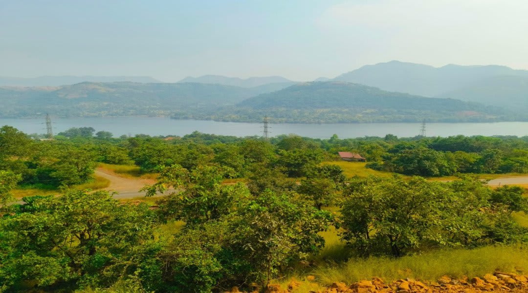 Plot for Sale in Mulshi, Pune — Arcadia Nest