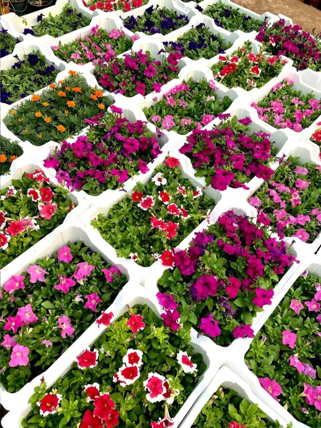 تركيب مظلة خارجية