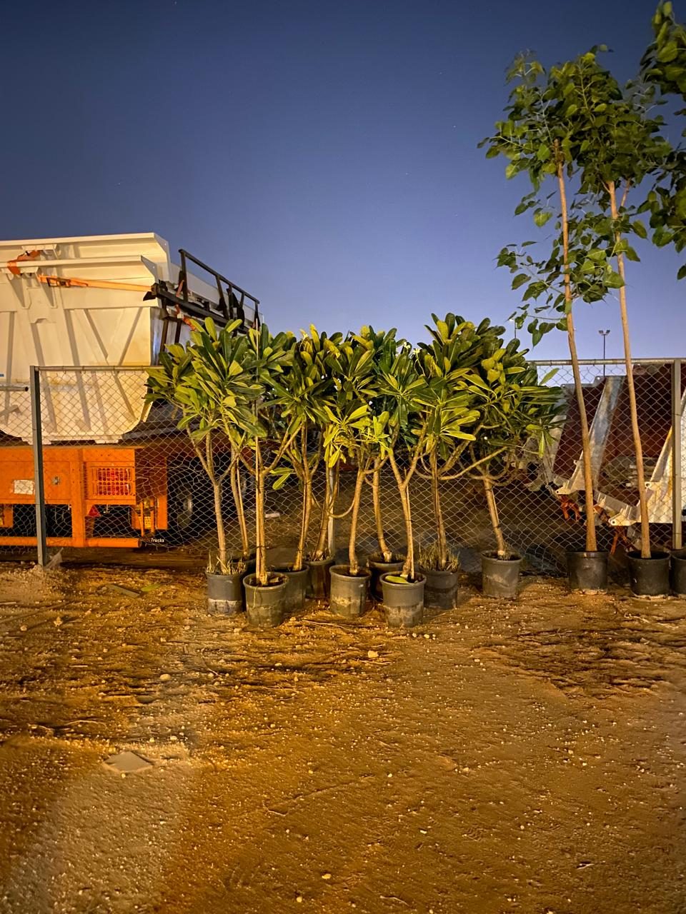 تفاصيل نوافذ تراثية