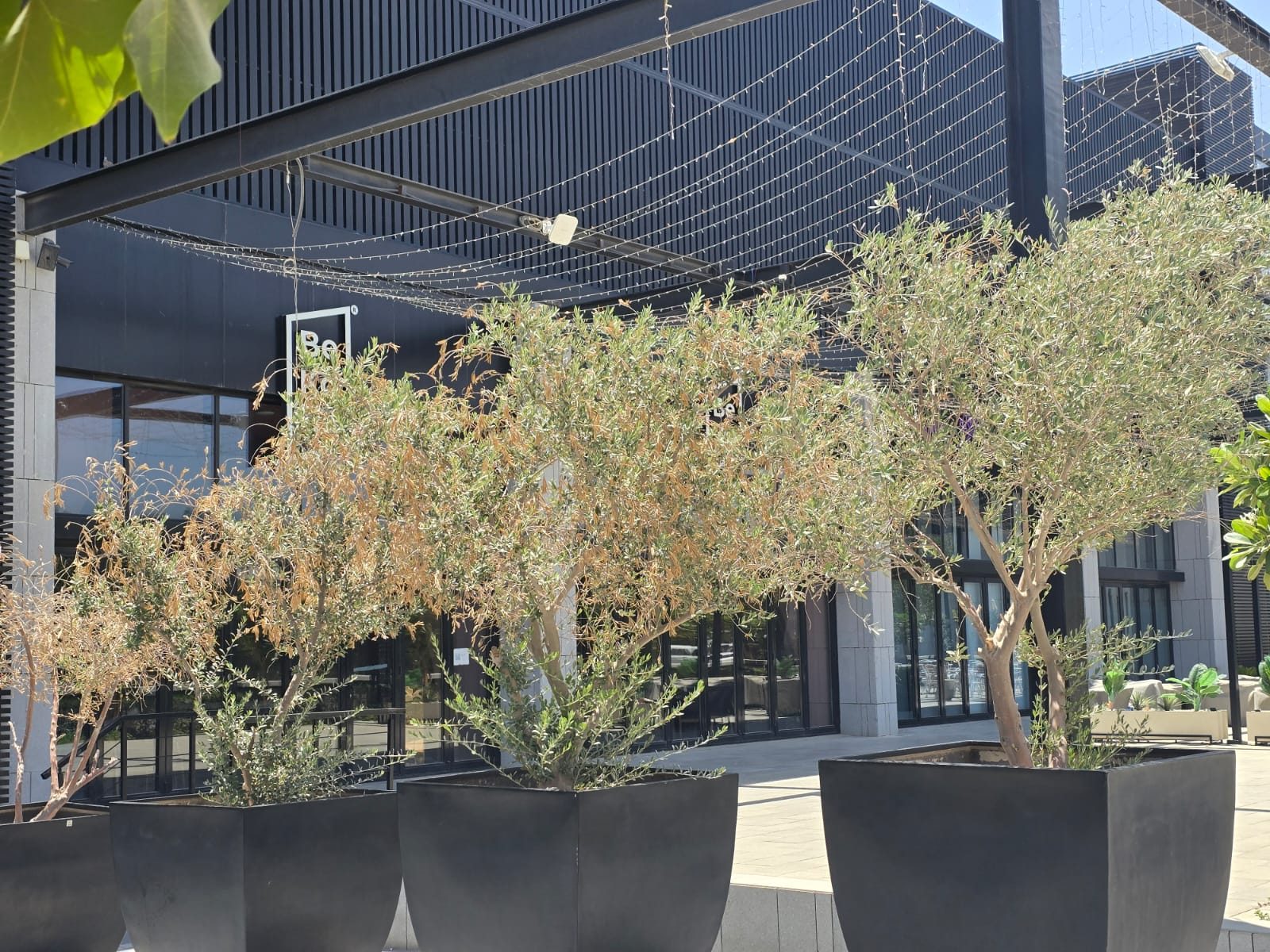 بوابة شبوك مجلفنة