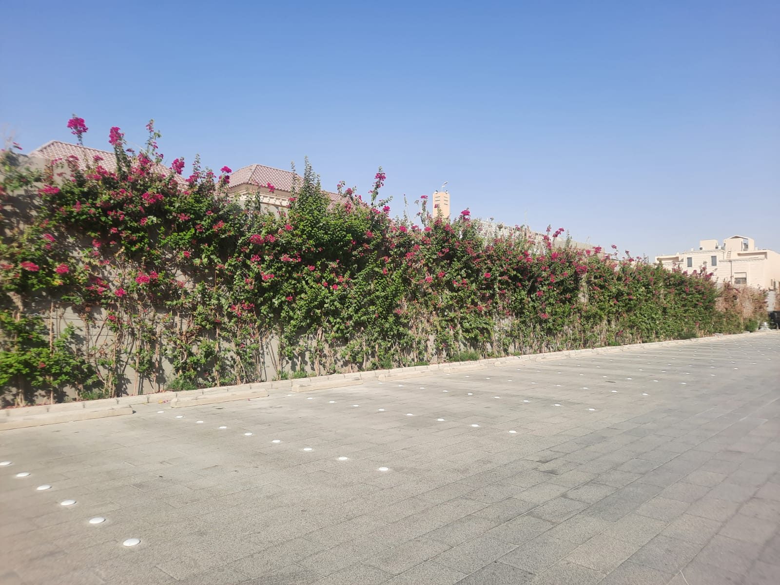 صورة تنسيق حدائق ولاندسكيب