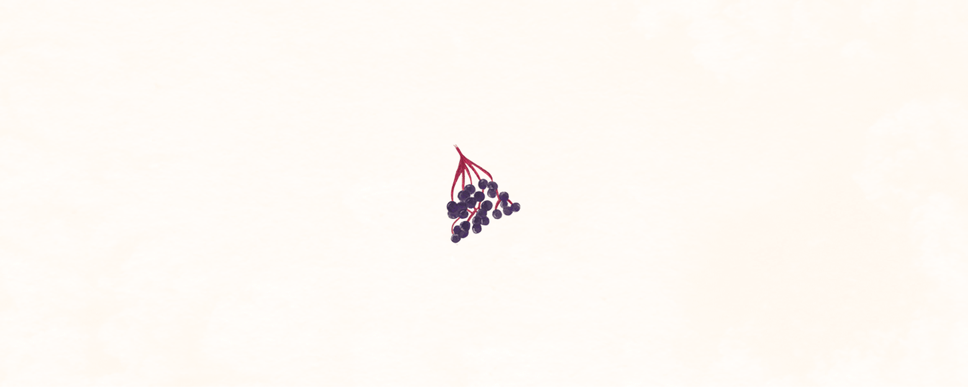 Myrica Gin image 4