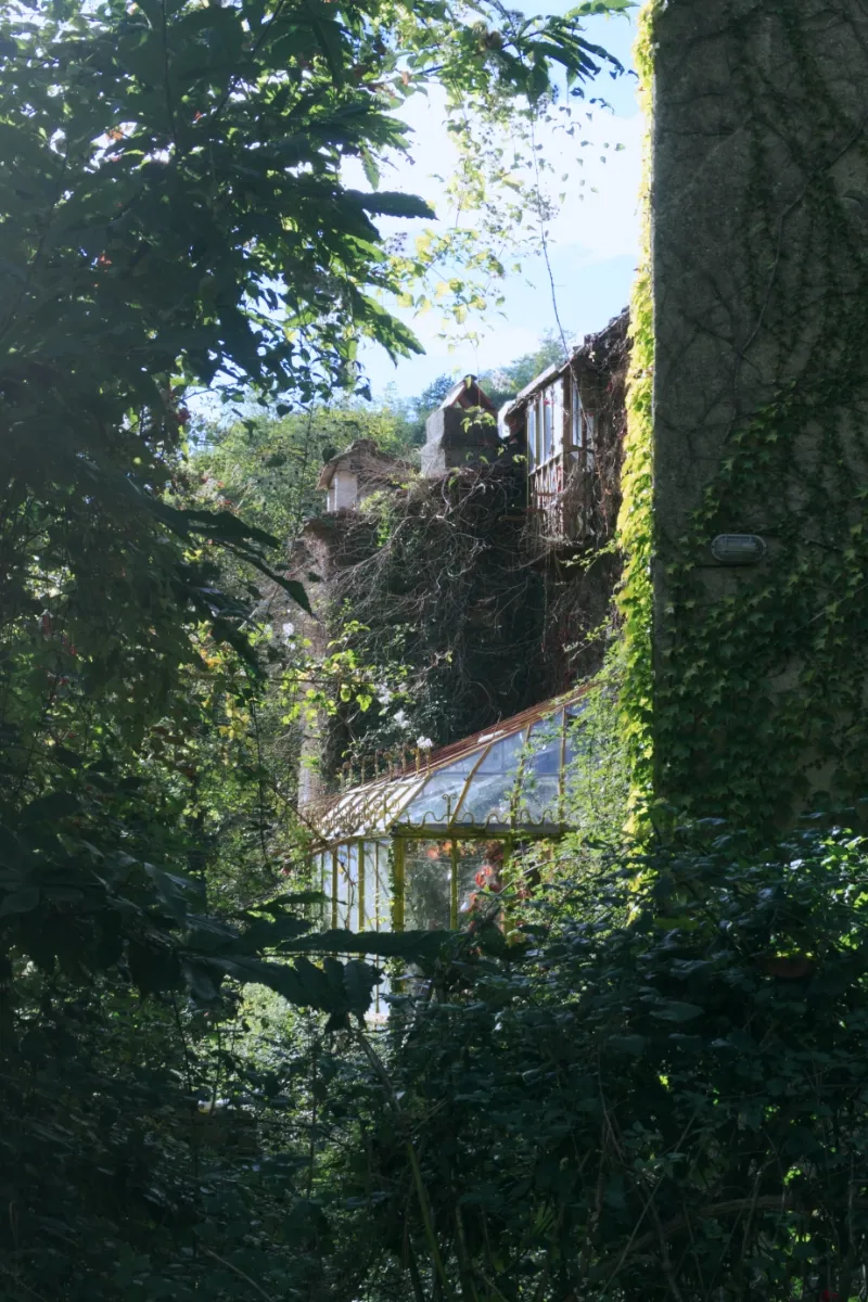 Il giardino del mulino abbandonato