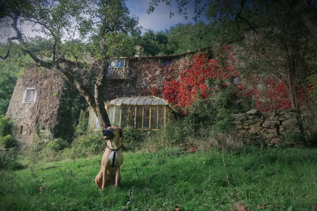 L'antico mulino abbandonato