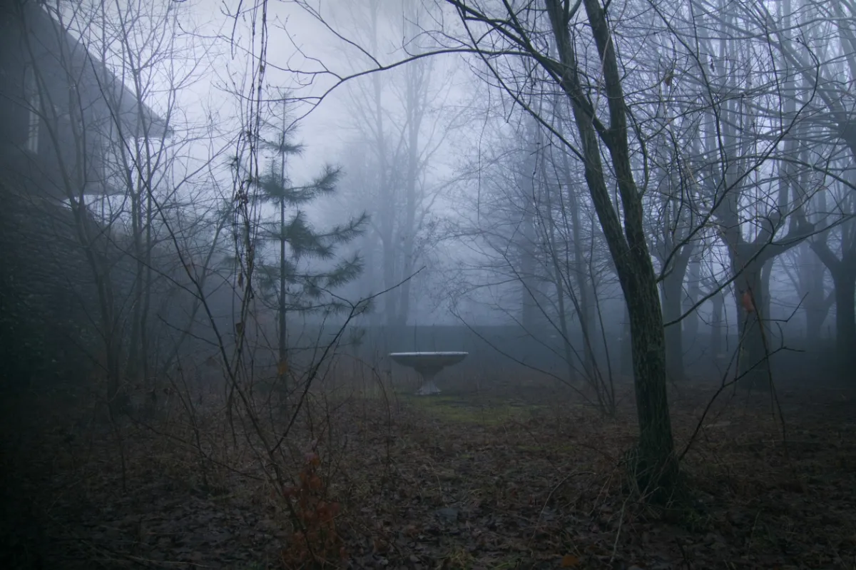 Giardino dell'hotel abbandonato con la nebbia