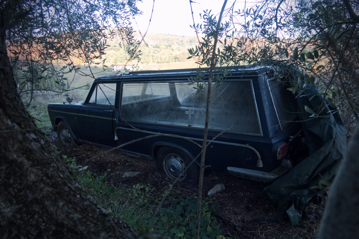 Carro funebre abbandonato in un giardino.