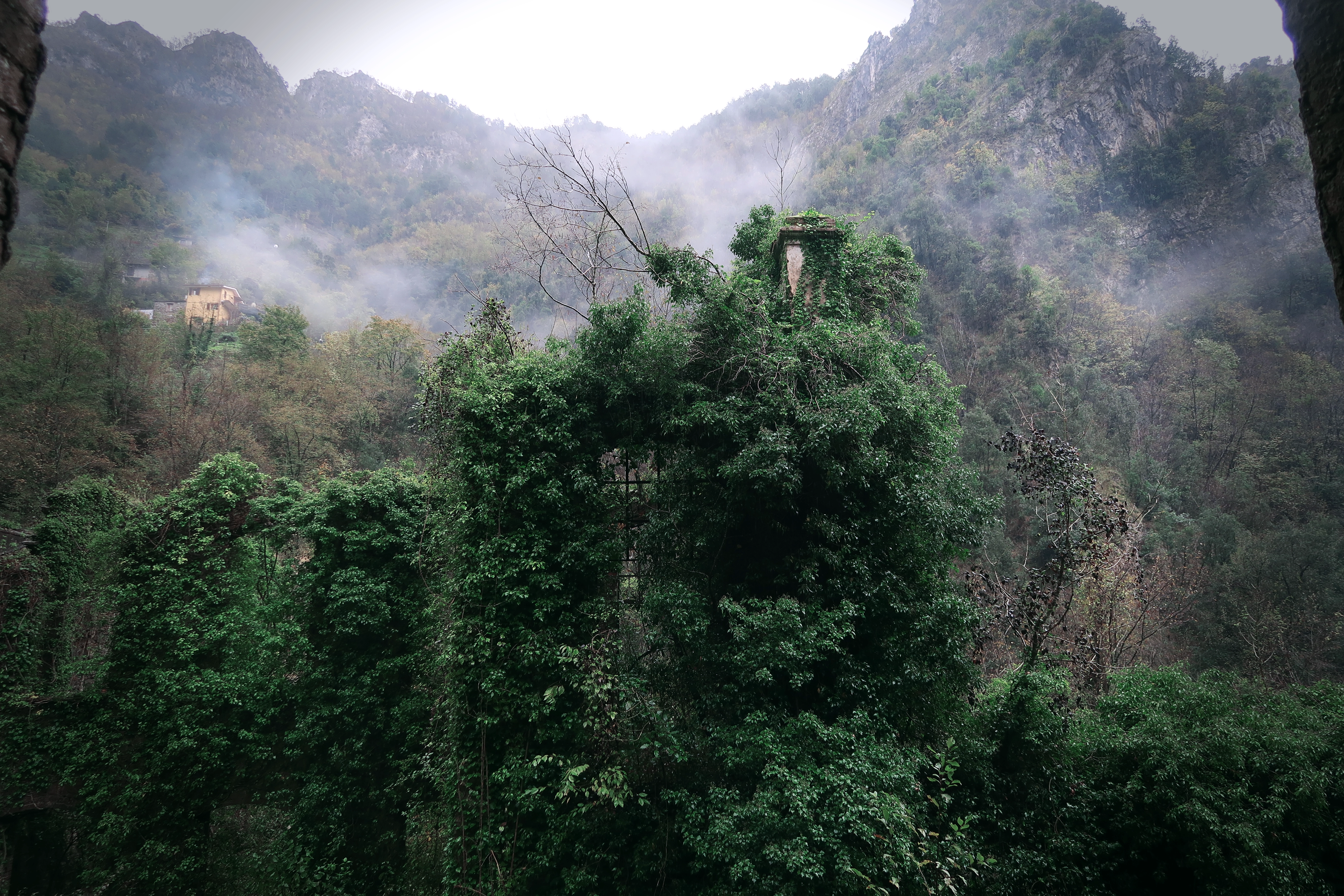 I resti della filanda avvolti dalla vegetazione