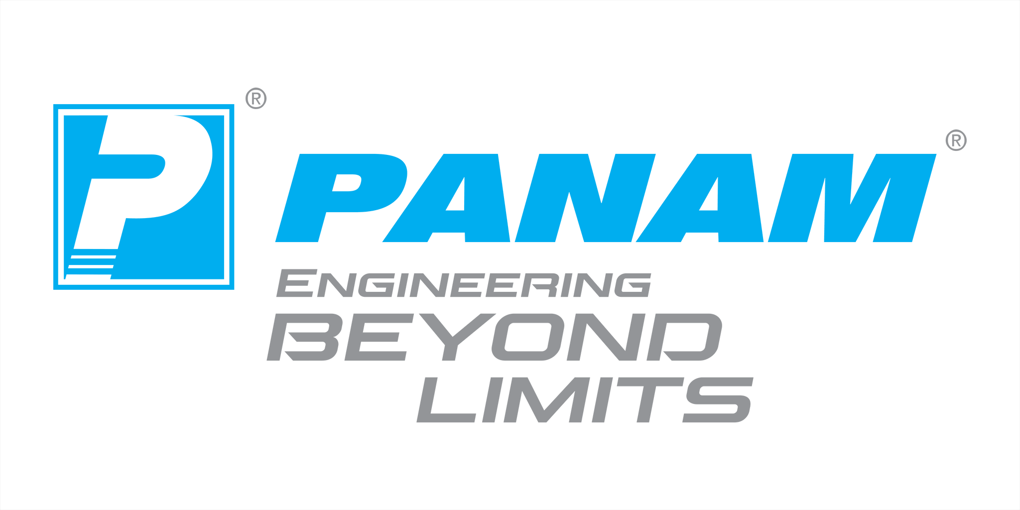 Panam Valves Logo