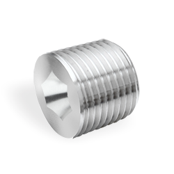 Hex Plug, 3/4" M ISO Parallel, SS316