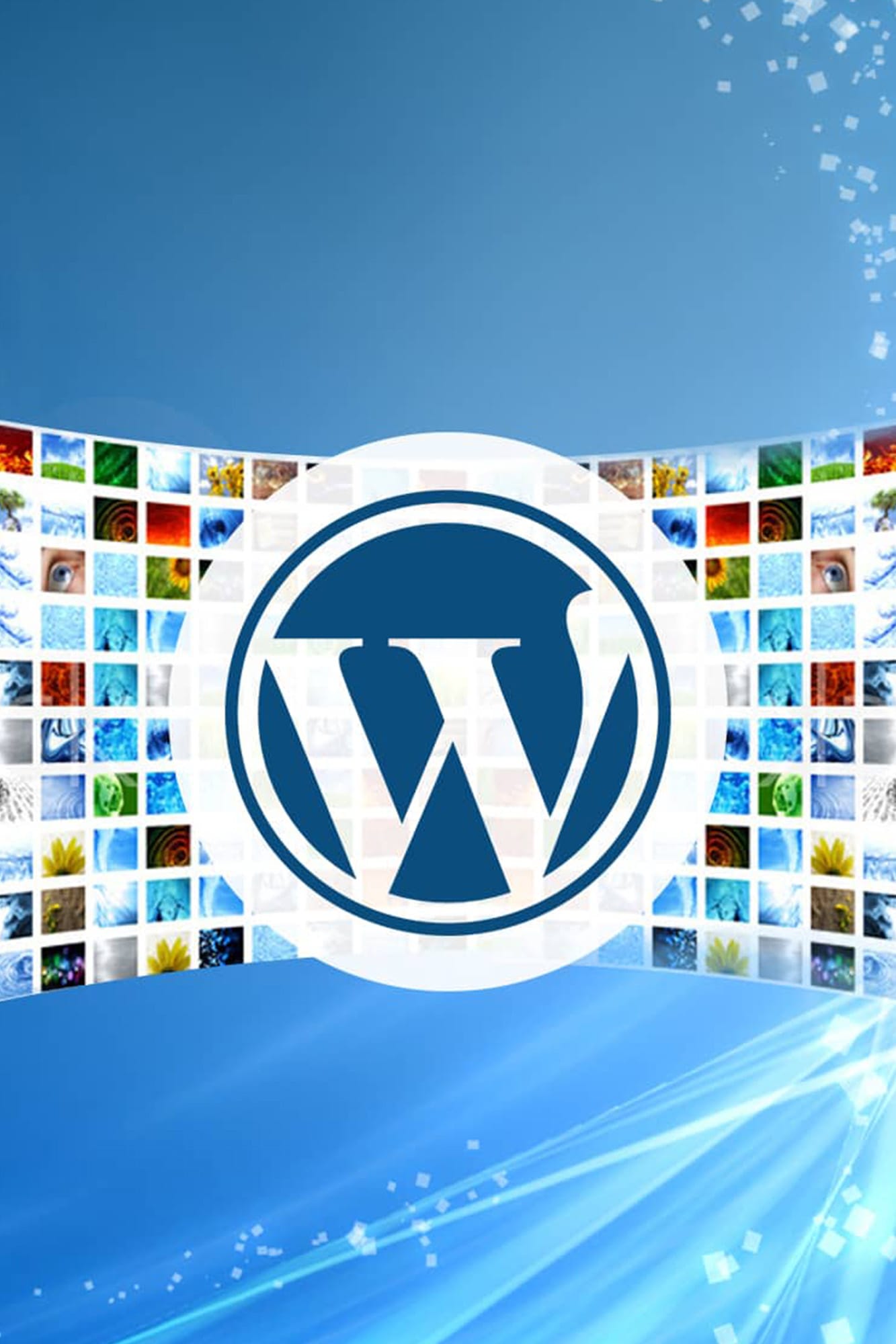 WordPress Questions Answered WordPress development FAQs