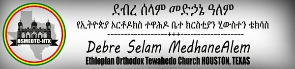 Debre Selam MedhaneAlem Ethiopian Orthodox Tewahedo Church