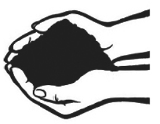 श्रम संस्कृति पार्टी