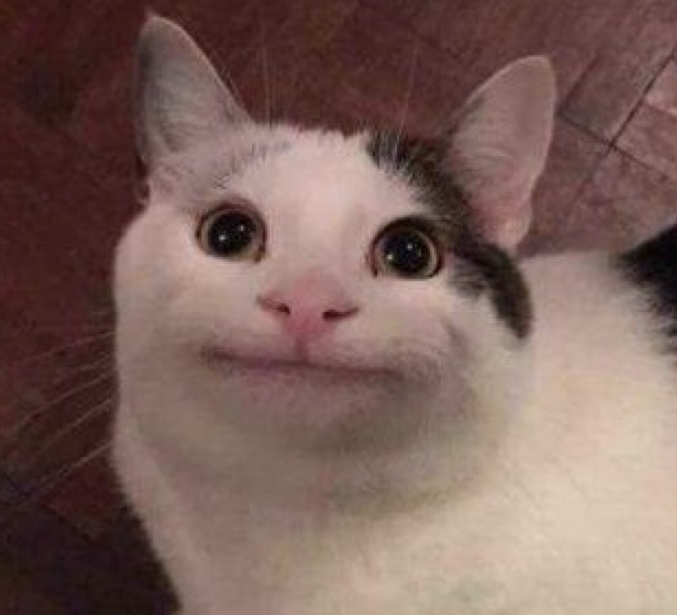 security cat