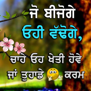 Jo beezoge ohi vadoge