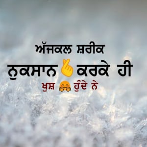 Ajjkal shariik nuksaan karke hi khush hunde ne