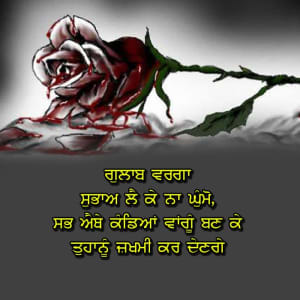 Gulaab varga subaah lai ke naa ghumo