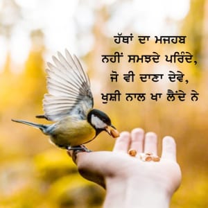 Hathaa da majhab nhi samjhde parinde