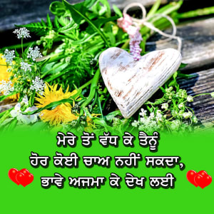 Mere to vadh ki tenu hor koi chaa nhi sakda