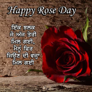 Ikk jhalak jo ajj teri mil gayi