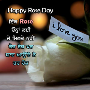 Ikk rose unah layi jo milde nhi