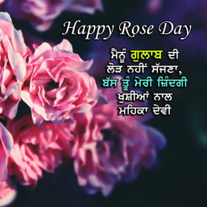 Mainu gulaab di lodh nhi sajnaa