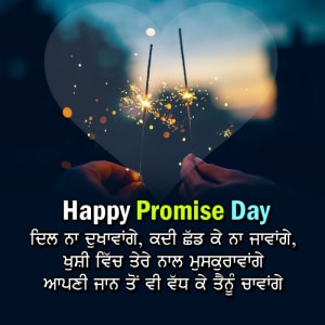 Dil naa dukhavange kadi chad ke naa jaavenge