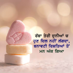 Rabba teri dunia ch hun dil nhi lagda