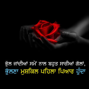 Bhul jandian ne samey naal bahut saarian gallan