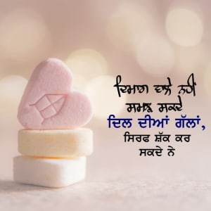 Dimaag vale nhi samjh sakde