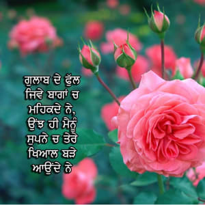 Gulaab de phool jive bagha wich mehakde ne