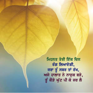 Mehnat teri ikk din rang liyaegi