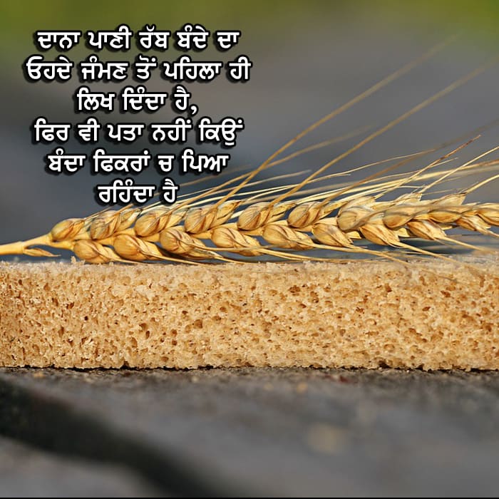Dana paani rabb bande da uhde jaman to pehla hi