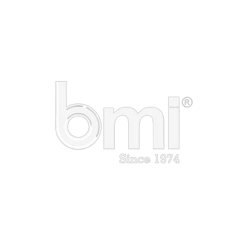 BMI Bearings