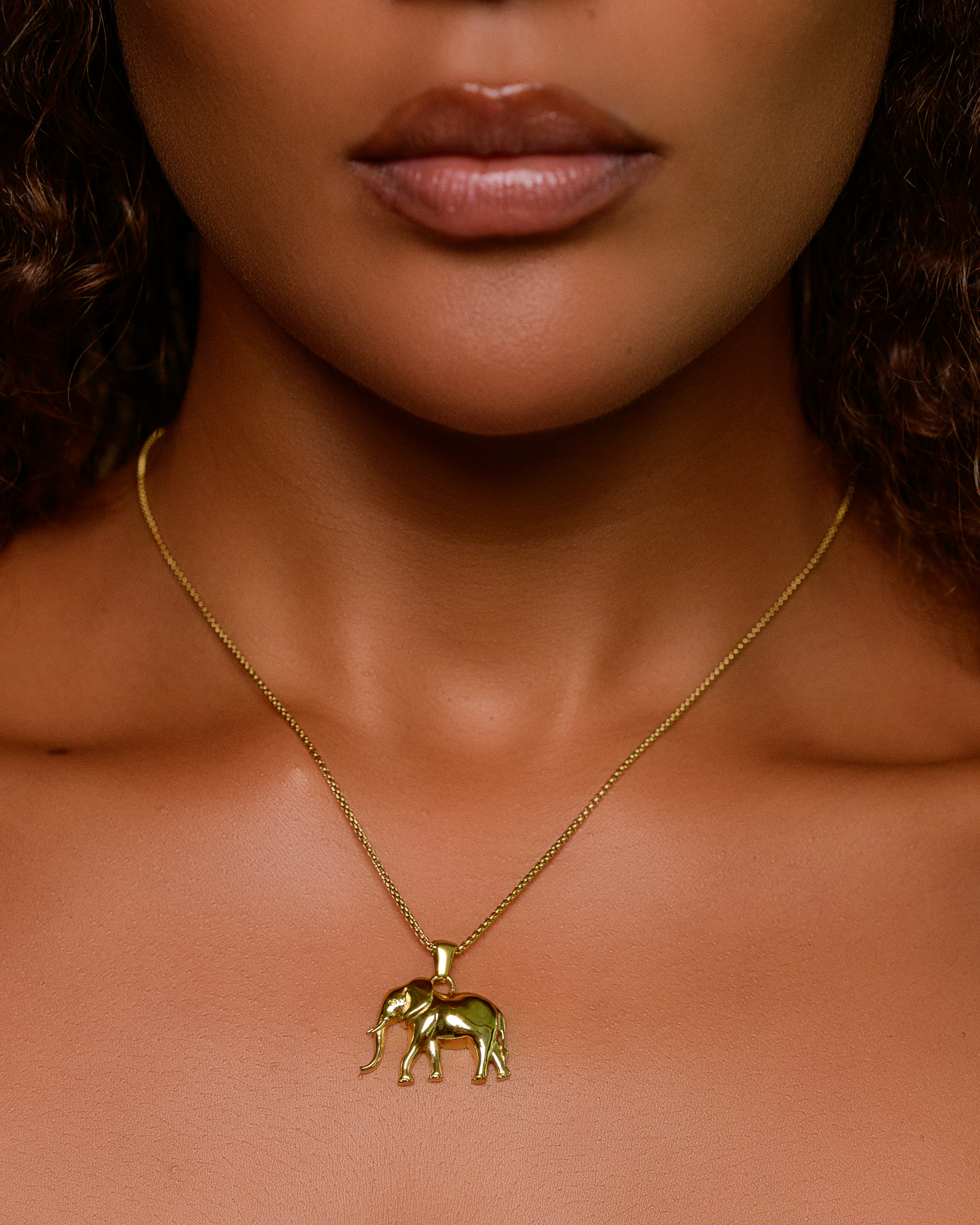 Tembo Necklace & Earrings