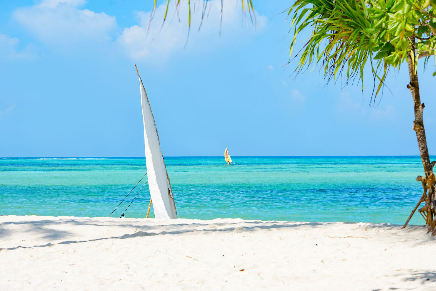 Zanzibar – Where Culture Meets the Coast