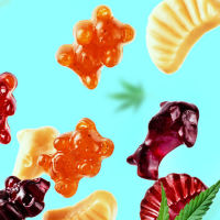 g CBD Gummies THC Free