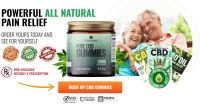 www.dibiz.com