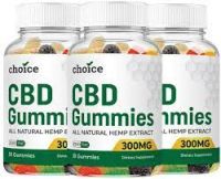 www.dibiz.com