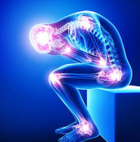 What Are the Best CBD Gummies on the Market?