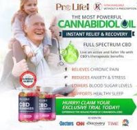 How Does Pro Life CBD Gummies Work?