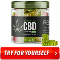 www.dibiz.com