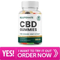 www.dibiz.com