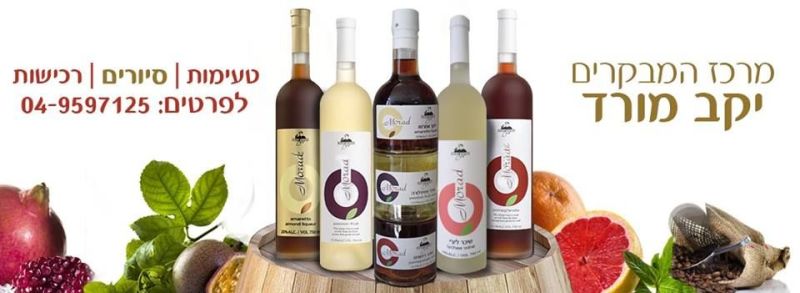 Dibiz profile picture for @wine